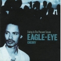 Eagle-eye cherry - Living in the present future